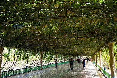 调查发现美国每月都买新游戏的玩家只有14%